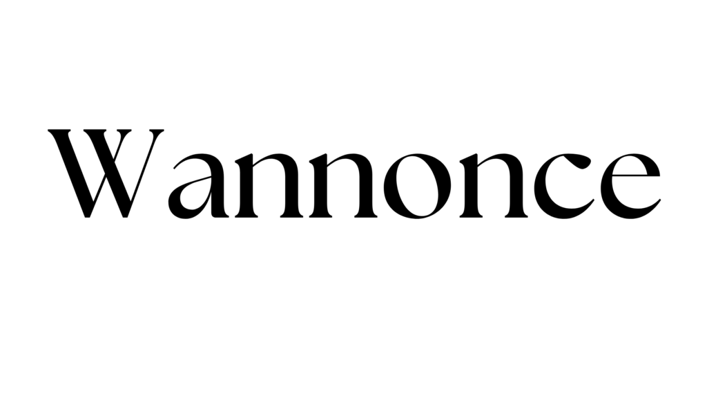 Se connecter votre compte Wannonce