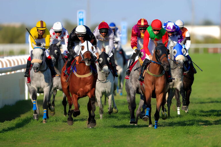 gazettedupmu2 avis pronostics de courses hippiques